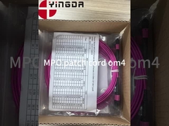 12 Fibra MPO Conector Feminino Cordão de Parche OM4 50/125um Elite Perda 0,35dB Polaridade Púrpura A