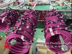 12 Fibra MPO Conector Feminino Cordão de Parche OM4 50/125um Elite Perda 0,35dB Polaridade Púrpura A