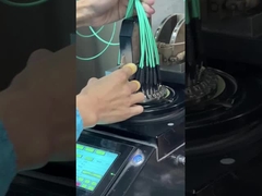 12 fibras OM3 10Gig MTP MPO cabo, cabo de tronco MPO - MPO 12 FO OM3 15 Mts