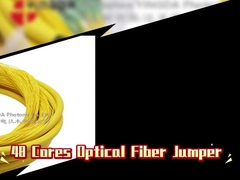 48 Núcleos Fibra Óptica Jumper Distribuição Patch Cord Fanout Com LC APC