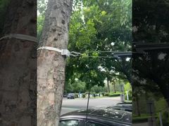 Braçadeira de Âncora de Cabo de Extremidade Morta de Suspensão de Fibra Óptica FTTH para Cabo ADSS 8-12mm