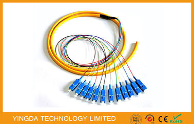 comprar Fuga da trança da fibra óptica do SC do núcleo da indústria 12, fibra G652D de Corning da trança do SC da manutenção programada LSZH de FTTH Fabricação em linha